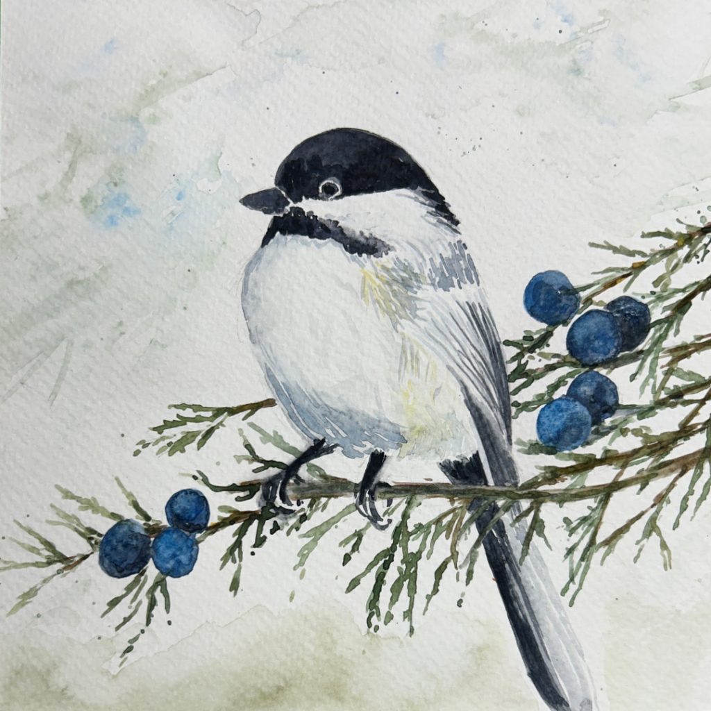 Watercolour Chickadee